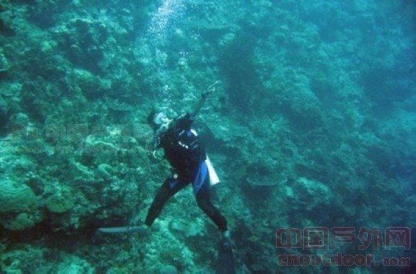 保护生物多样性的根本措施。